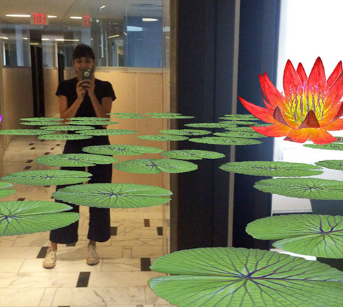 Water Lily Invasion U Toronto