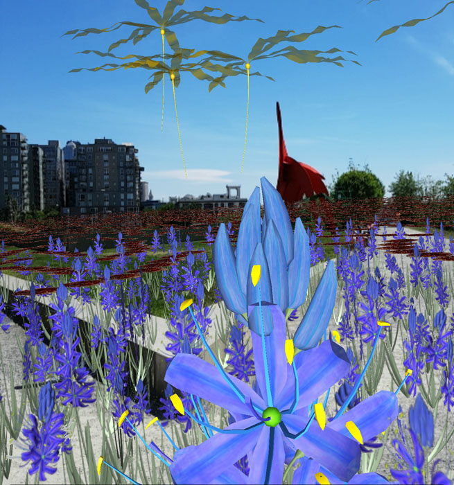 Camassia radaria, radar-like blue camas